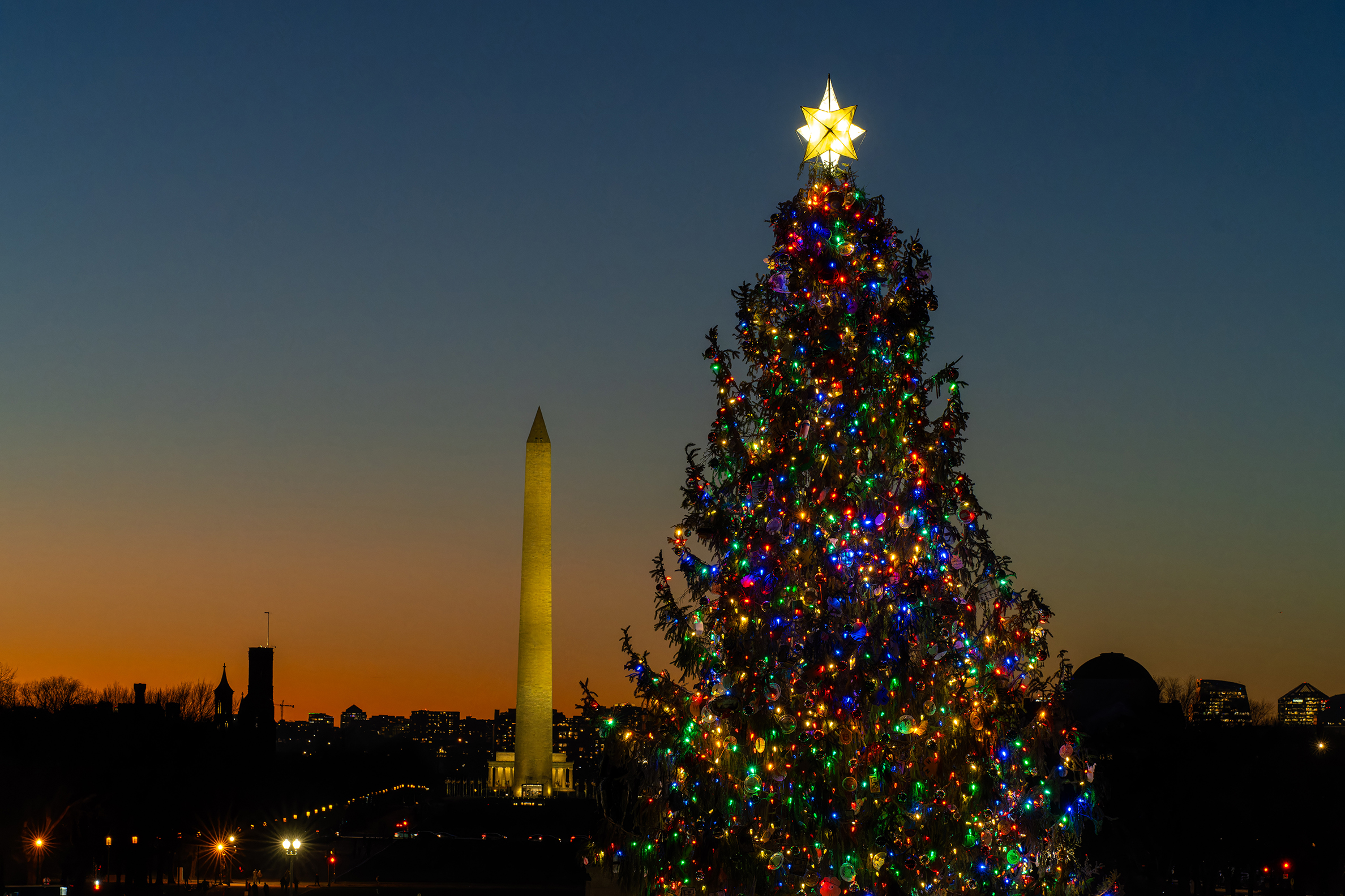 US Capitol Christmas Tree